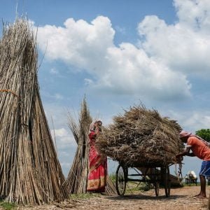 a group of people standing around a pile of hay